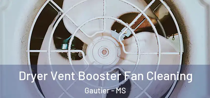  Dryer Vent Booster Fan Cleaning Gautier - MS