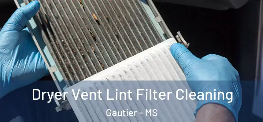  Dryer Vent Lint Filter Cleaning Gautier - MS