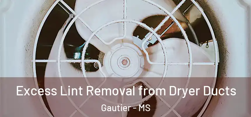  Excess Lint Removal from Dryer Ducts Gautier - MS