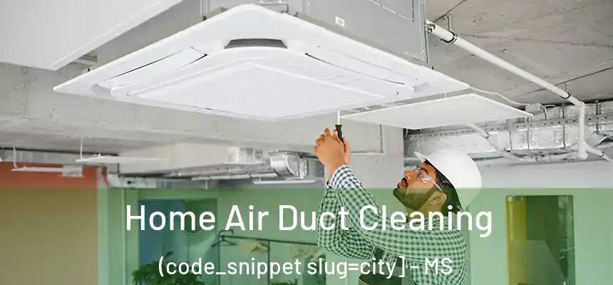  Home Air Duct Cleaning (code_snippet slug=city] - MS
