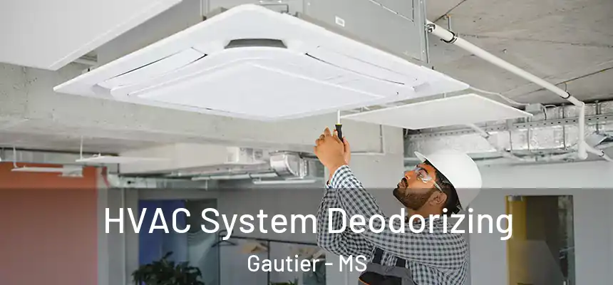  HVAC System Deodorizing Gautier - MS