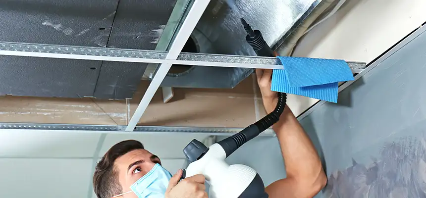 Our Air Duct Rodent Removal Services in Gautier, MS