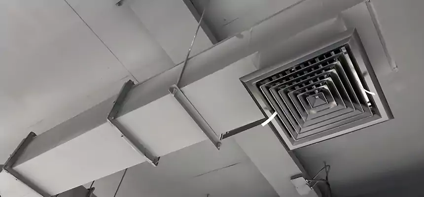 Our Rodent Droppings In Vents Services in Gautier, MS