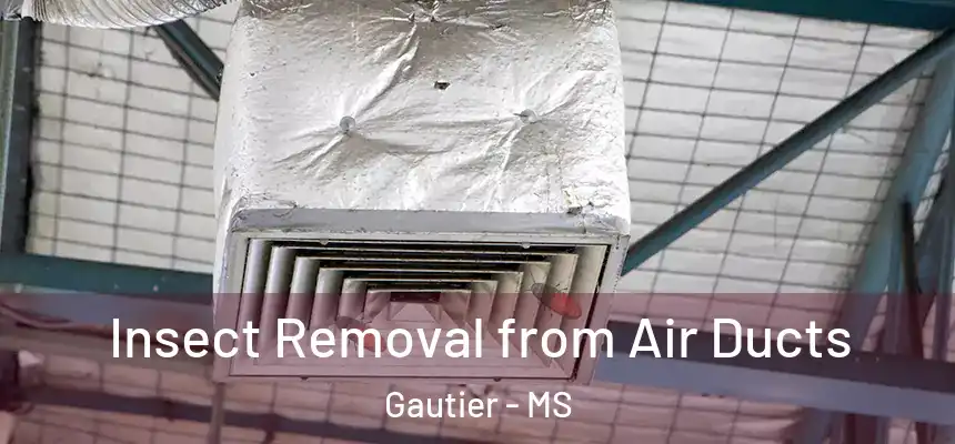  Insect Removal from Air Ducts Gautier - MS
