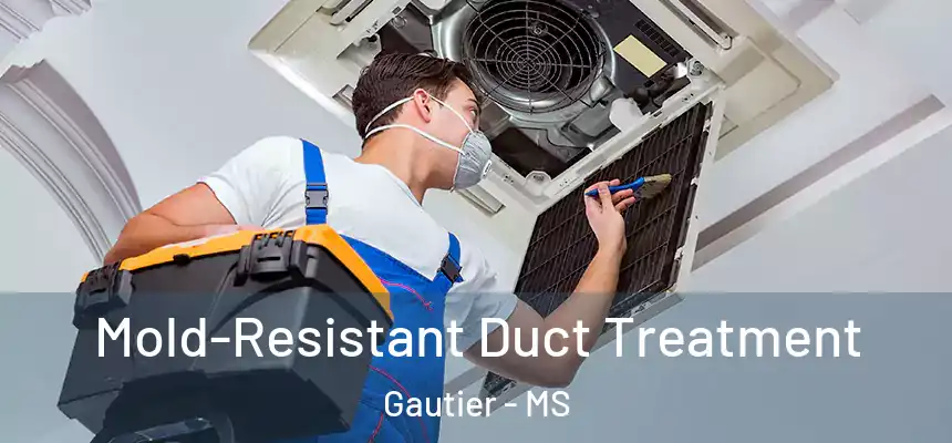  Mold-Resistant Duct Treatment Gautier - MS