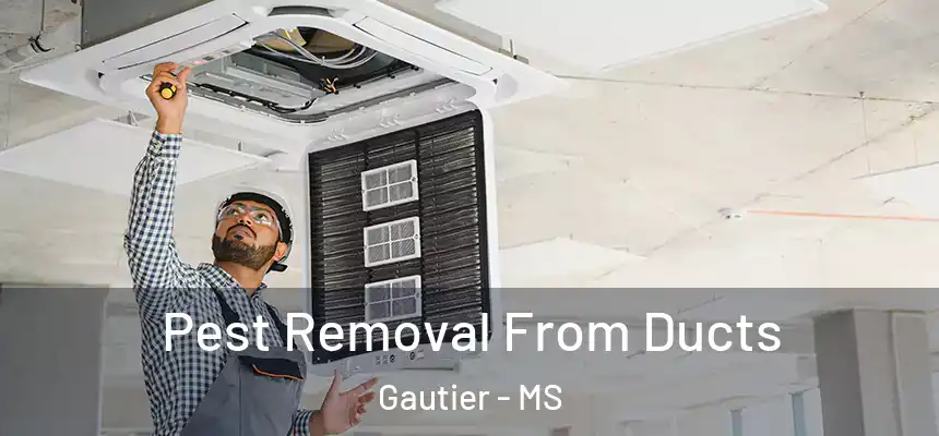  Pest Removal From Ducts Gautier - MS