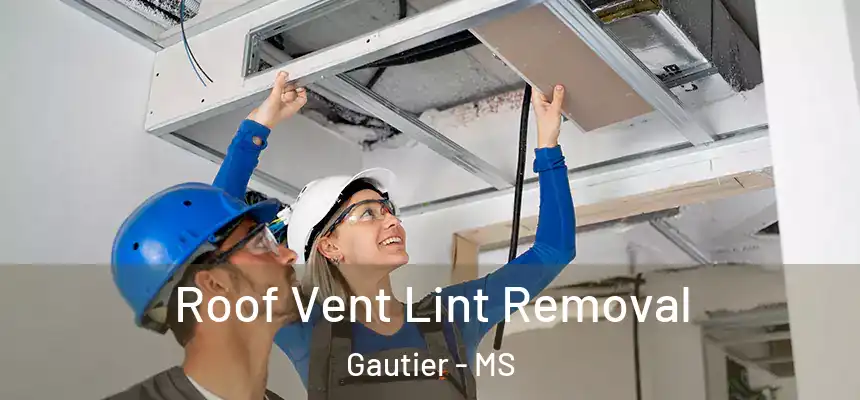  Roof Vent Lint Removal Gautier - MS