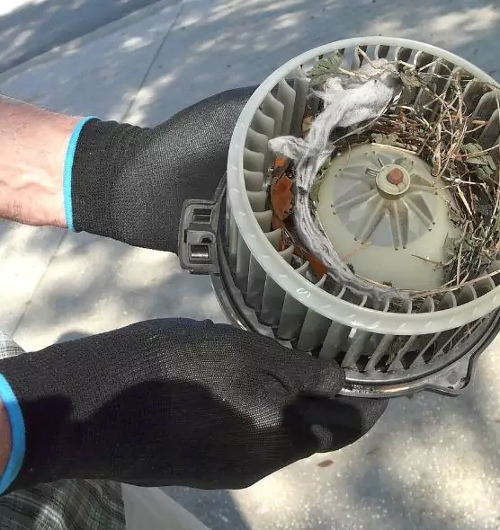 About Air Duct Rat Removal in Gautier, MS