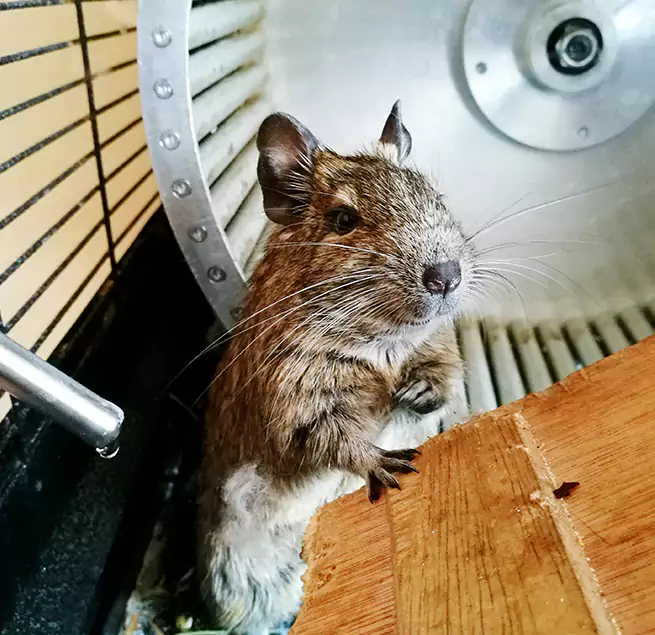 Why Homeowners & Businesses Trust Us Gautier, MS?