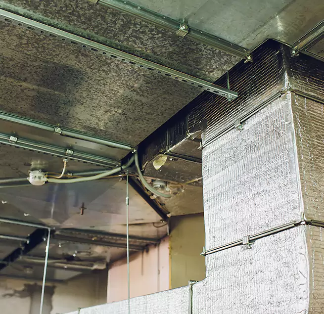 Why Homeowners & Businesses Trust Us in Gautier, MS?